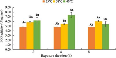 Effects of short-term heat stress on the activity of three antioxidant enzymes of predatory mite Neoseiulus barkeri (acari, phytoseiidae)